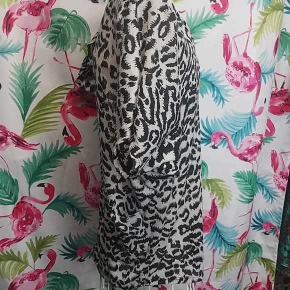 Express top - Picture 3 of 5